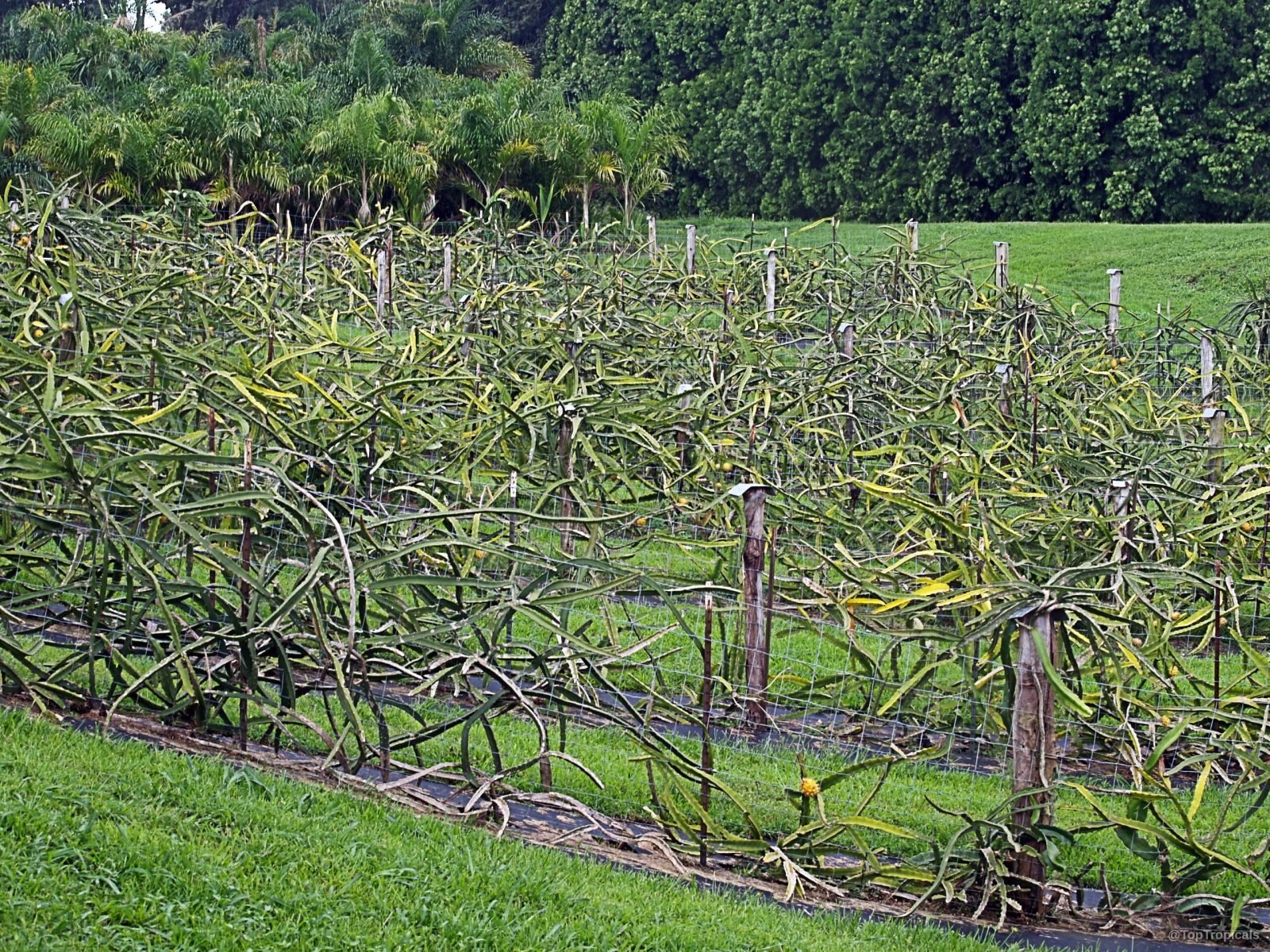 Growing Better Farms. Building a Sustainable Future.